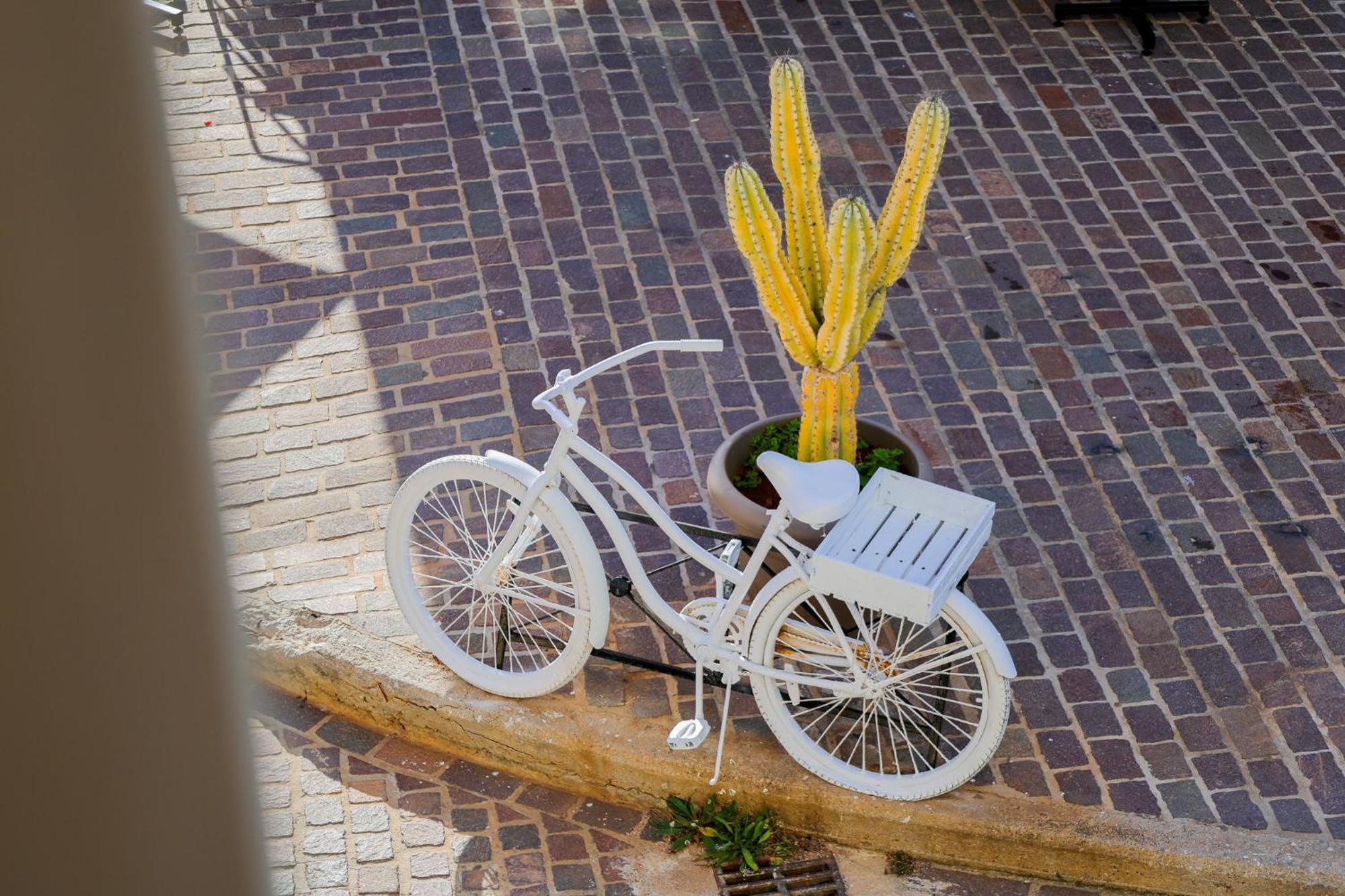 The Botanist Vakantiehuis Chania (Crete)